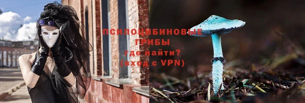 дурь Аркадак