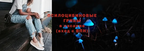 твердый Армянск